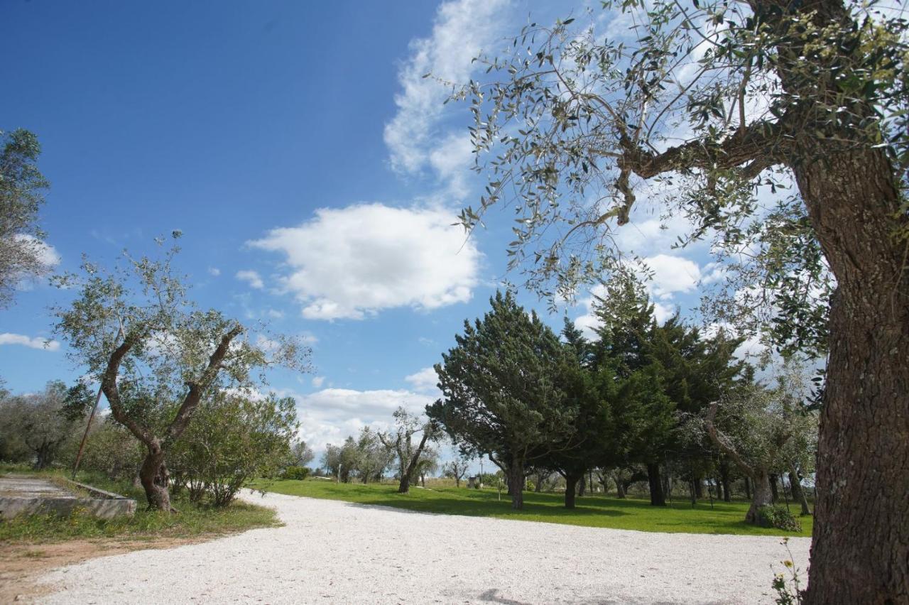 Gli Ulivi Di Gino Bed & Breakfast Sanarica Luaran gambar