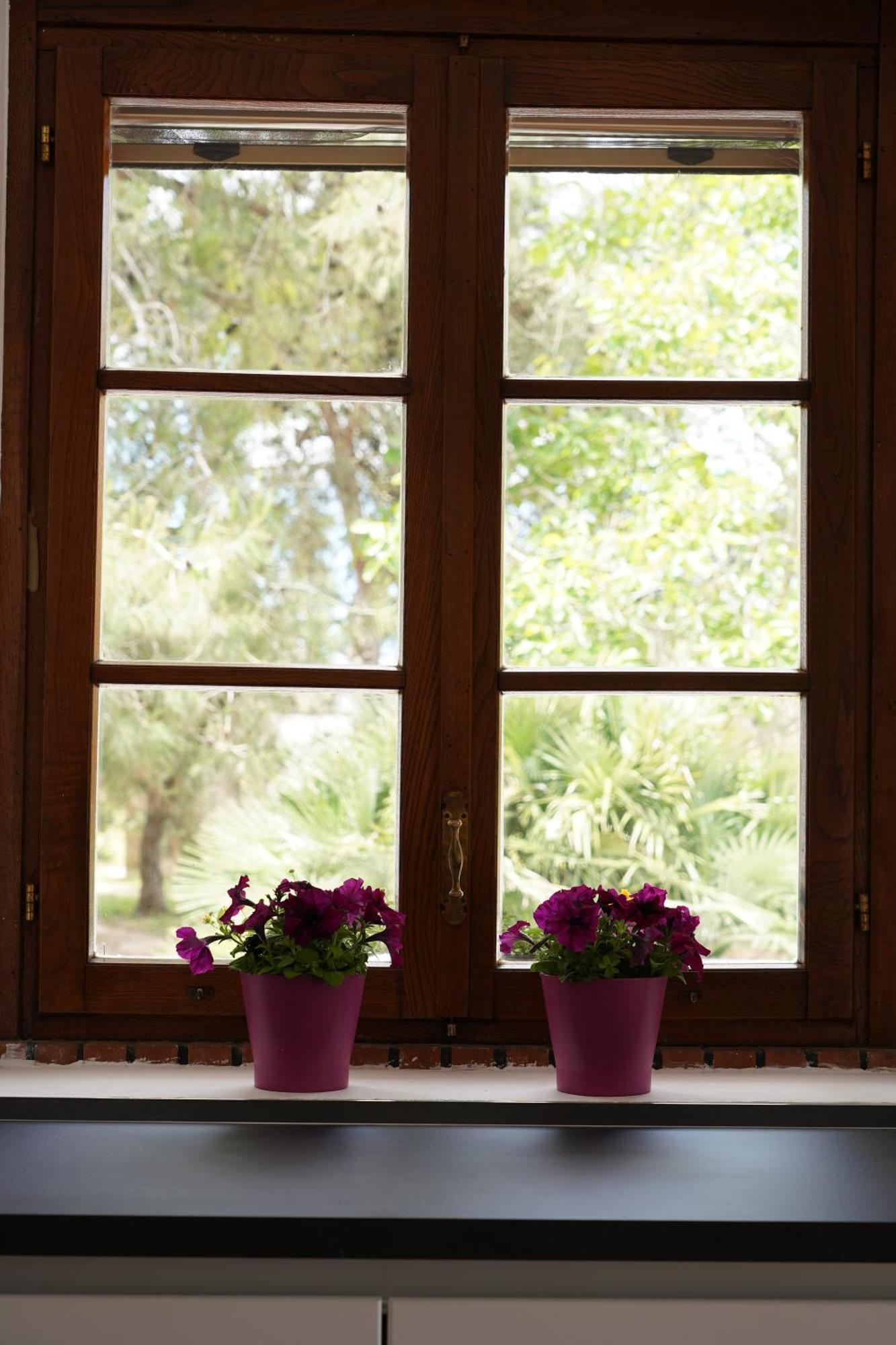 Gli Ulivi Di Gino Bed & Breakfast Sanarica Luaran gambar